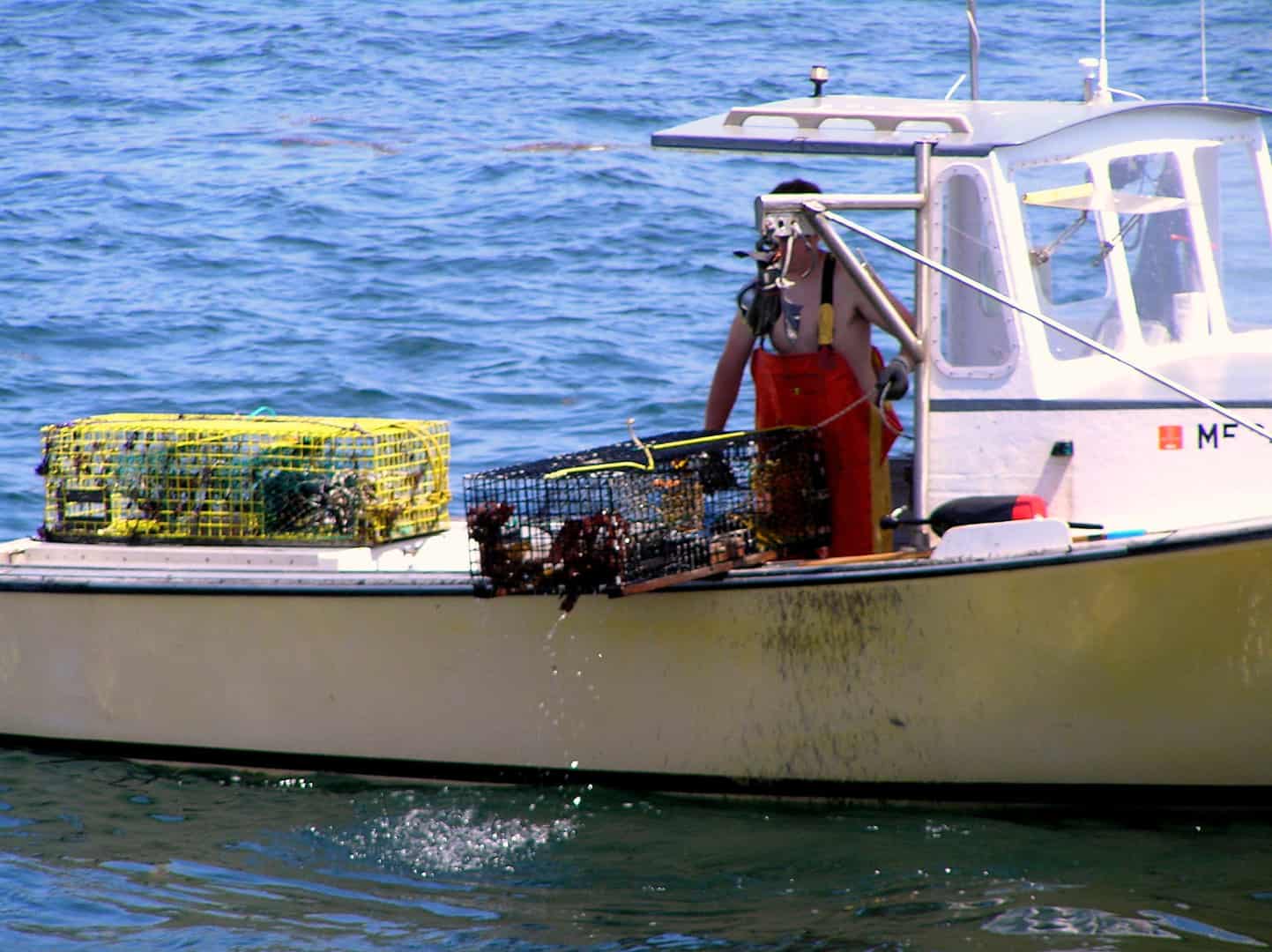 Lobster boat with trap on the gunnel.