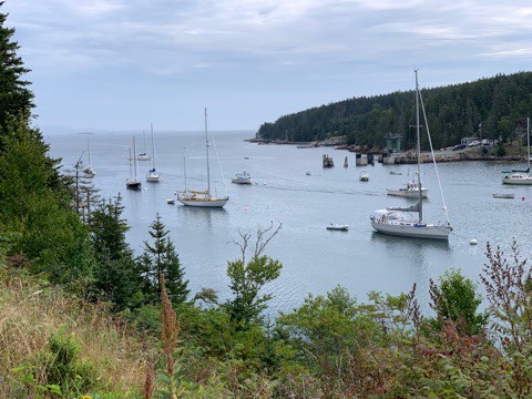 looking out at Frenchboro harbor with boats moored