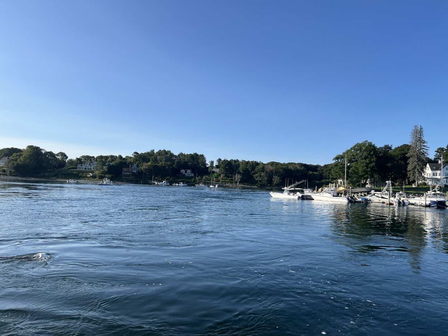 entrance to York Harbor, showing a float being sucked under by tide