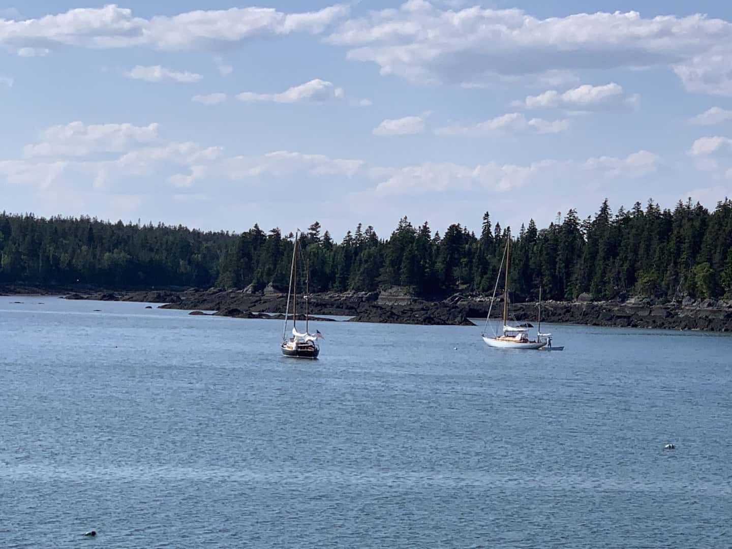 two sailboats anchored in open harbor