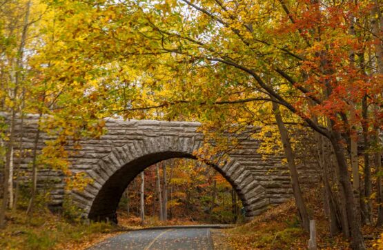 Acadia National Park stone bridge across road; leaves in full autumn color.