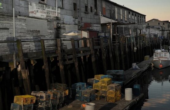 Rear of Harbor Fish Market with lobster traps piled on dock