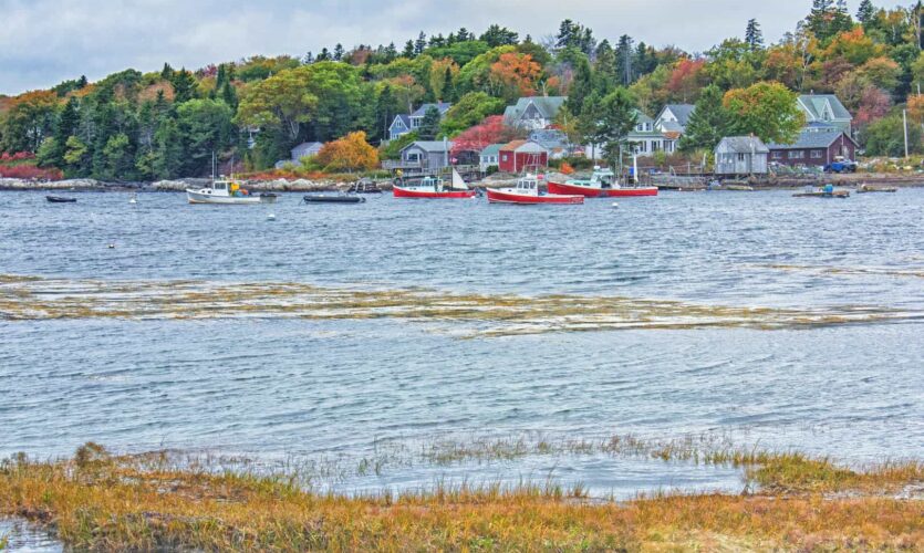 Cliff Island cove with lobster boats moored, houses in the backgreound, seaweed in the foreground