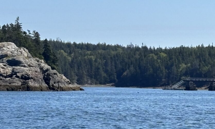 harbor entrance with stony outcropping on left and pier on right