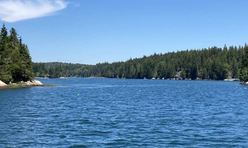 Entering Long Cove, calm blue water, trees on shore, blue sky.
