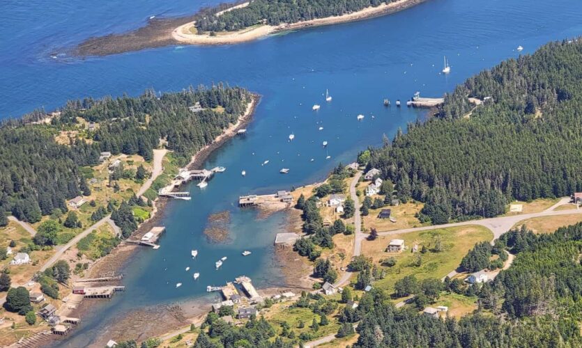 aerial view of Frenchboro harbor
