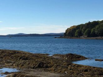 Holbrook harbor