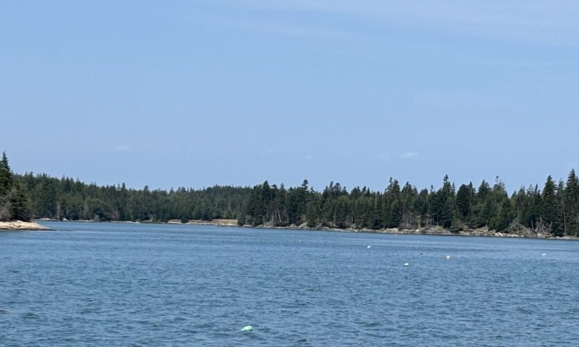 Cows Yard approach Wide view of Cows Yard harbor with many lobster buoys.