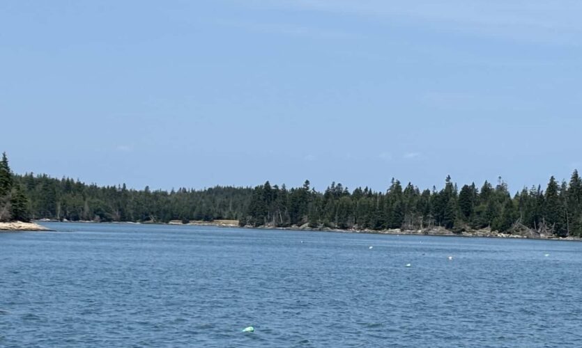 Wide view of Cows Yard harbor with many lobster buoys. {{brizy_dc_image_alt entityId=