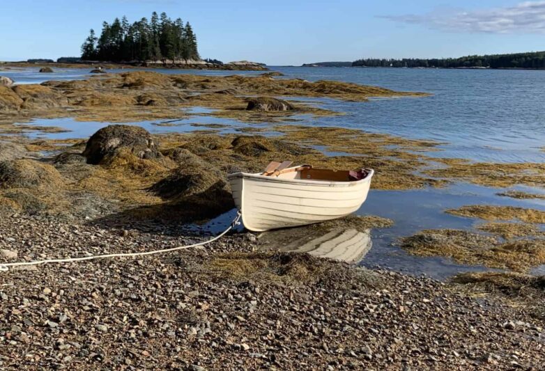 Dinghy pulled up on a rocky shore, with extensive seaweed behind it.