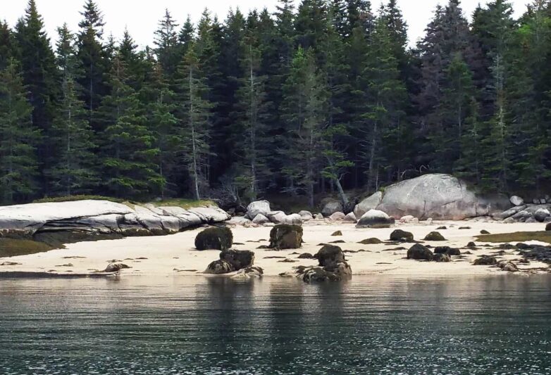 Sandy beach showing ledge and boulders, with tall firs behind.
