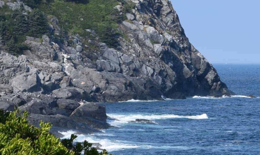 Monhegan rocky cliffs with trees on top and ocean water frothing as it hits the rocks