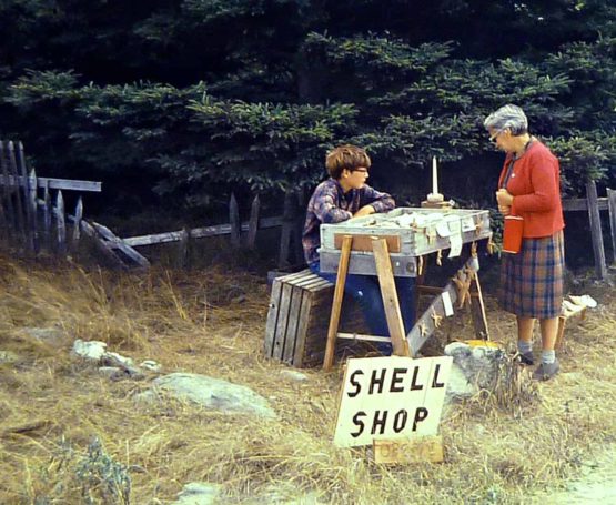 boy selling shells to an older woman