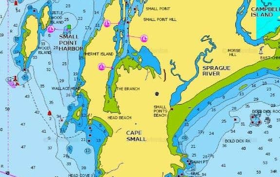 {{brizy_dc_image_alt entityId=