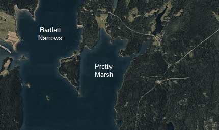 Pretty Marsh view from Google Earth