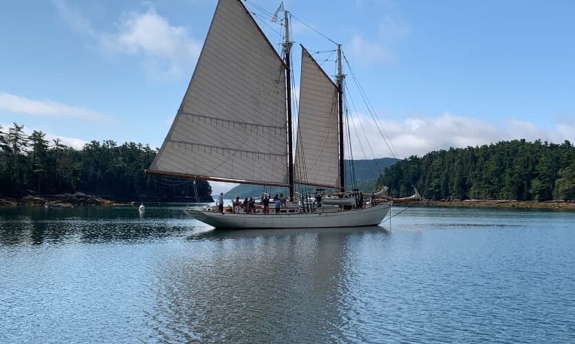 A schooner anchoring in Somes Sound with sails still up.