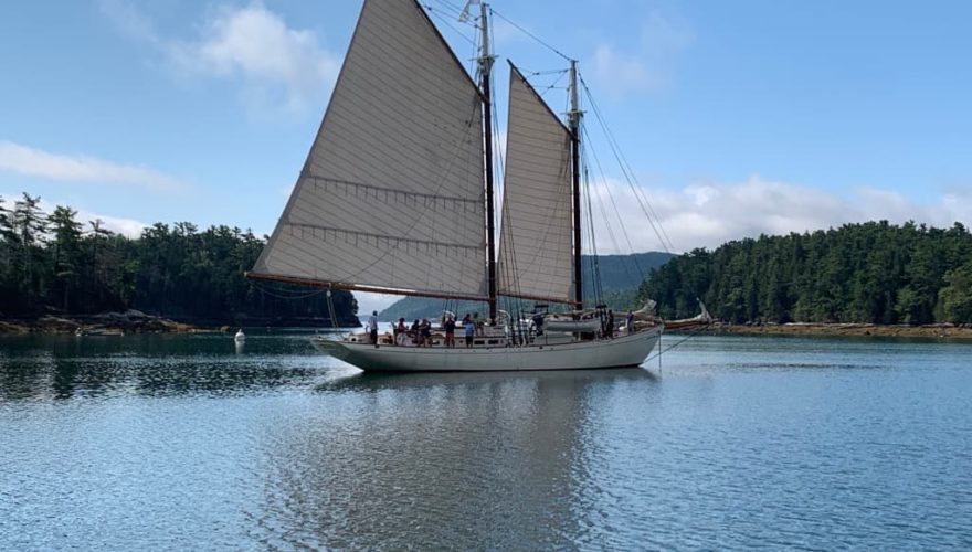 A schooner anchoring in Somes Sound with sails still up.