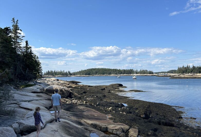 Child and adult walking on a rocky shoreline.